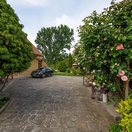 Bonifert Vendeghaz Hotell Dunabogdány Exteriör bild